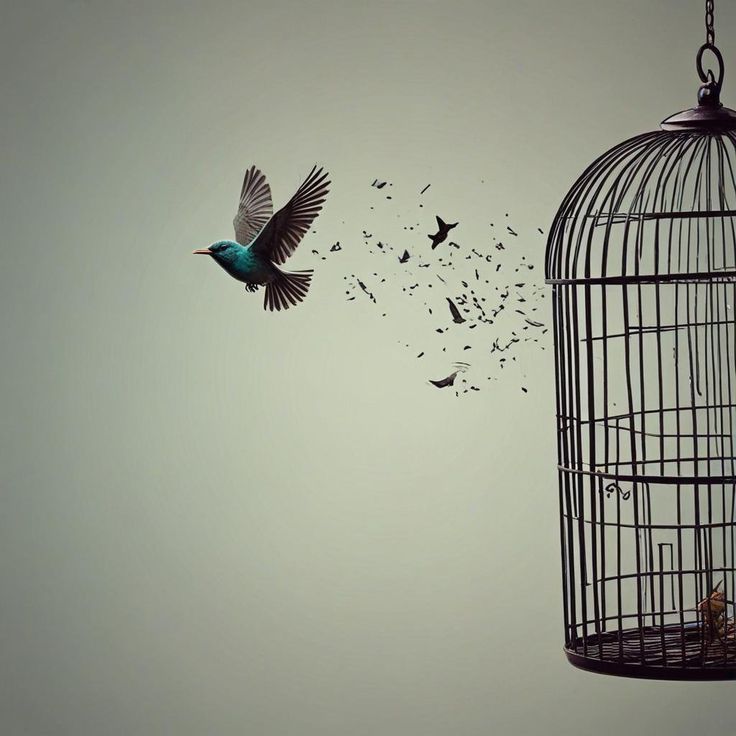 Clarity Beats Motivation Every Time: The Secret to Building Unstoppable Momentum