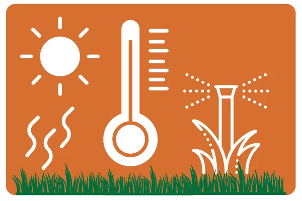 Fall Cleanup Tips 2024