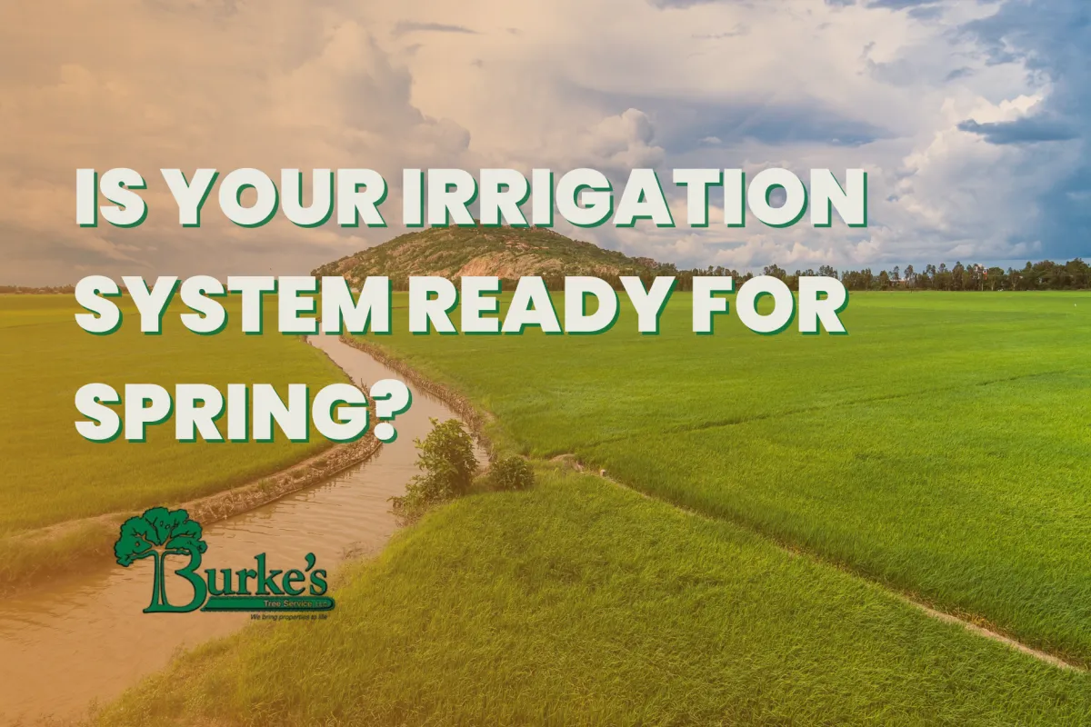 Is Your Irrigation System Ready for Spring?