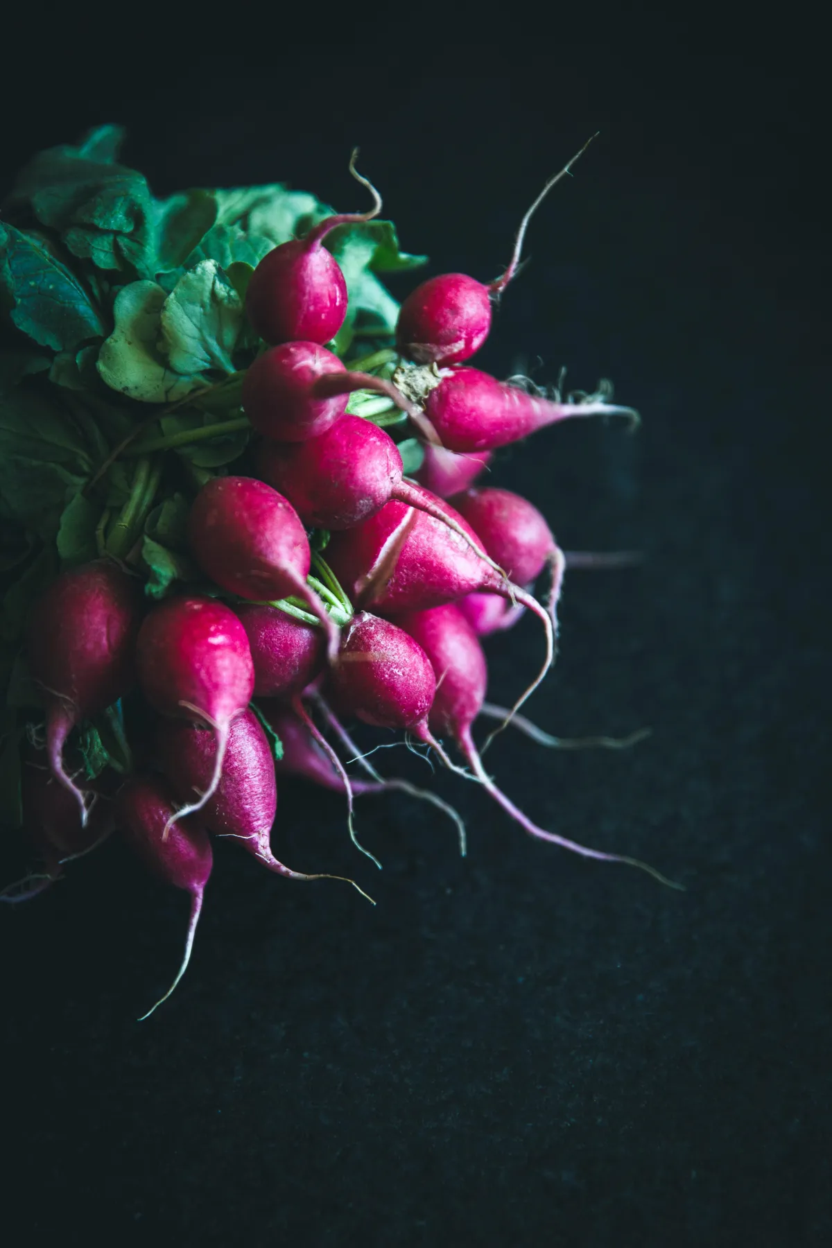 radishes