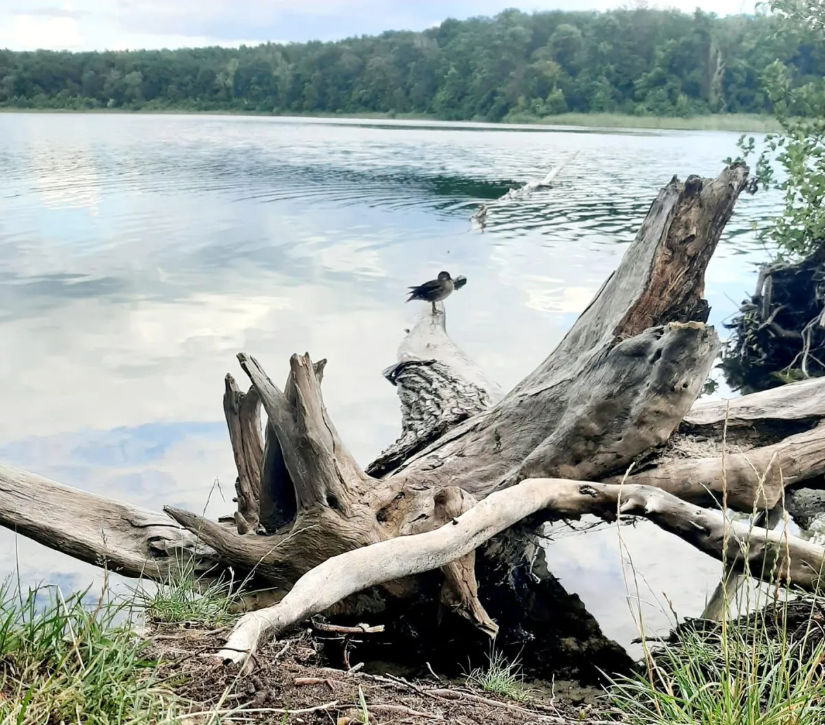 In Verbindung bleiben