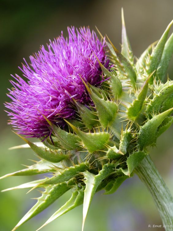 Zuverlässigkeit, Vertrauen, Abschied