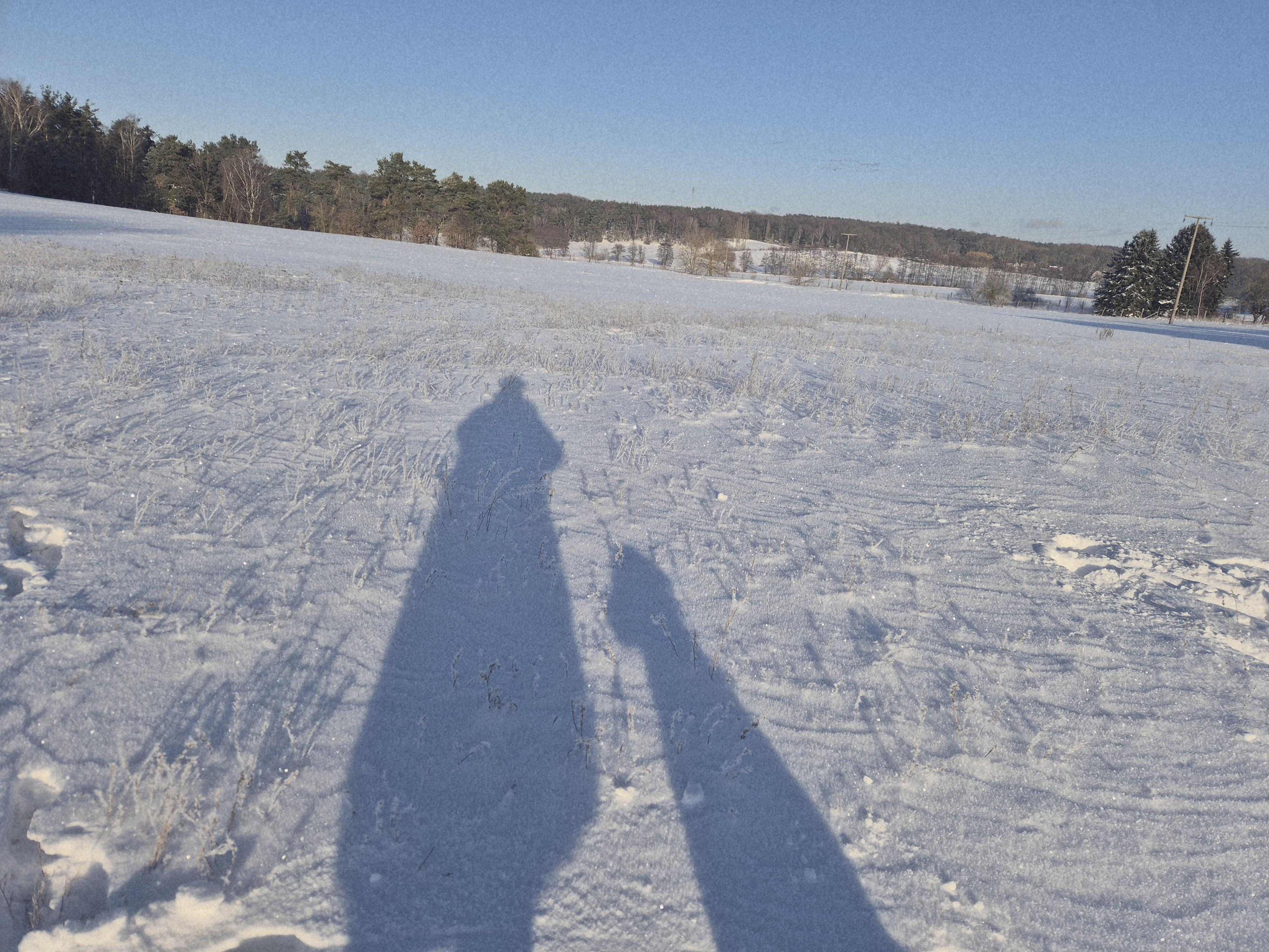 Neudefinition des Selbst