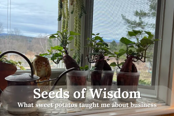 What Sweet Potatoes Taught Me About Business