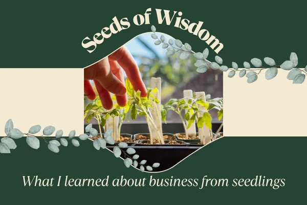What I learned about business from seedlings