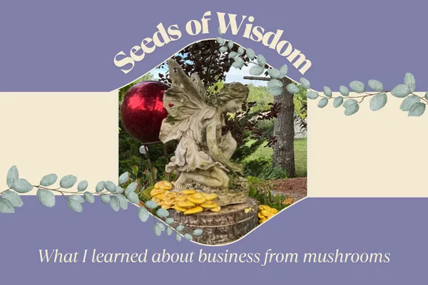What I learned about business from mushrooms