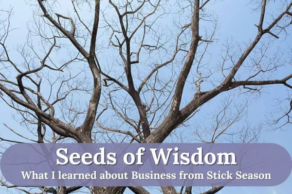 What I learned about Business from Stick Season