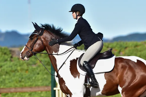 Alway pat your pony