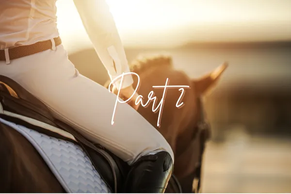 Rider in saddle