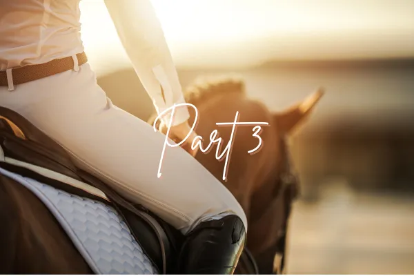 Rider in saddle