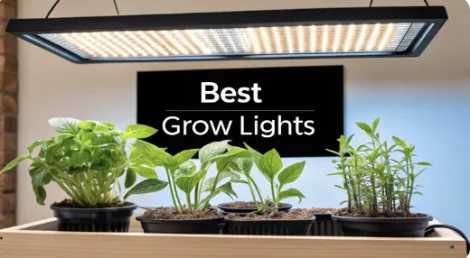 Best Grow Lights for Indoor Plants