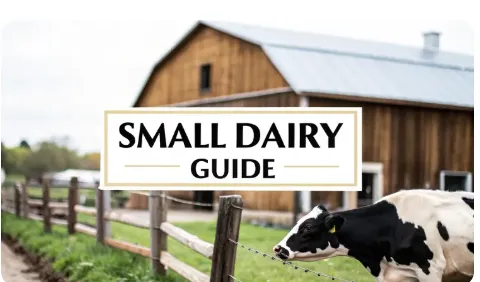 Cover image for a Small Dairy Guide featuring a Holstein cow walking beside a wooden fence in front of a rustic brown barn with a metal roof.