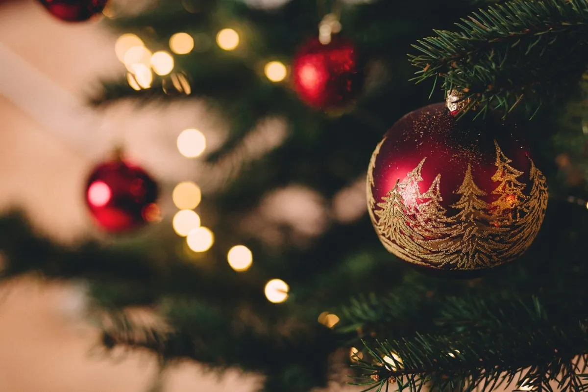 Embracing Presence: The True Gift of Christmas #2🎄🎁