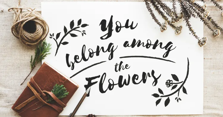 Embracing Positivity: A Sunday Affirmation