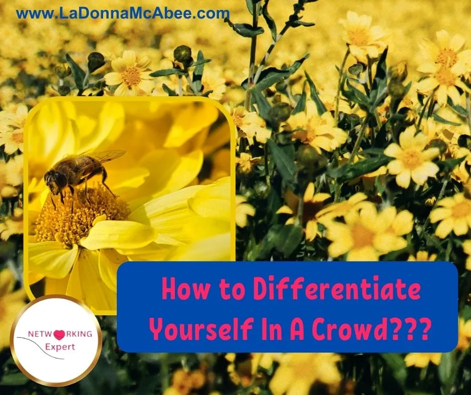 Crafting a Standout Business Pitch: How to Differentiate Yourself