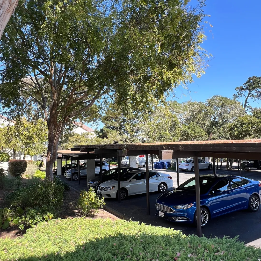 Ocean Forest Condominiums Parking 
