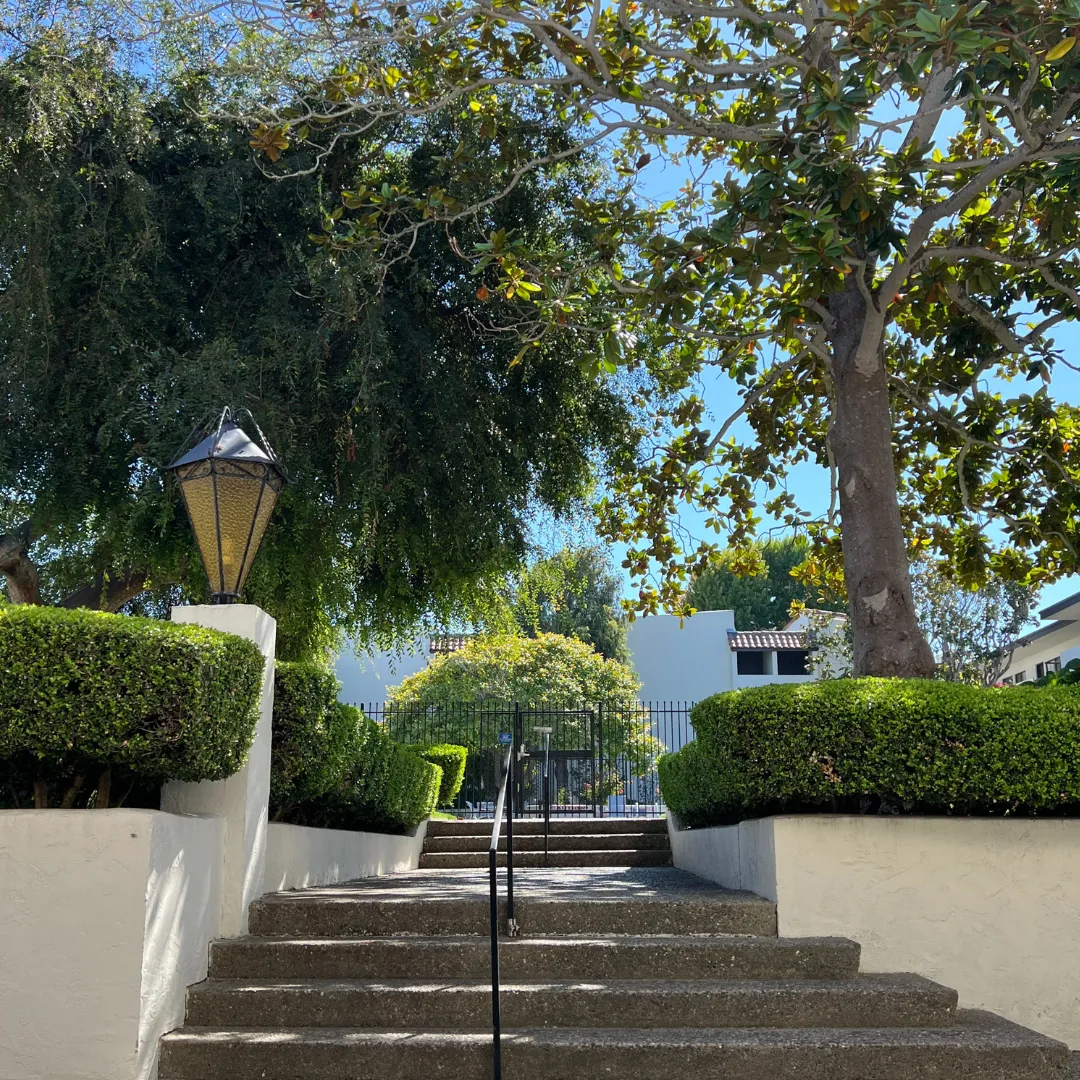 Ocean Forest Entrance