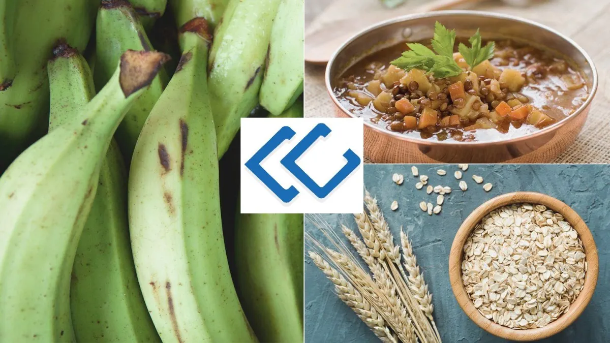 Effective Cancer Prevention with Diet