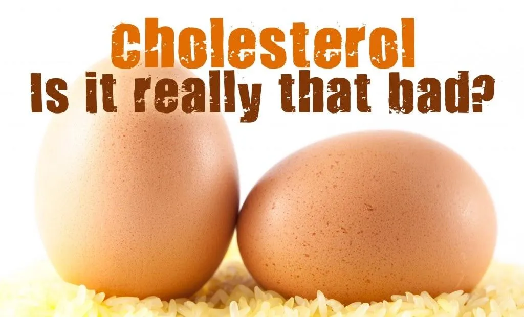 Eggs: The Incredible Edible Powerhouse