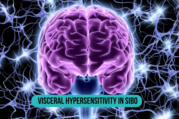 Illustration of an overactive gut, with highlighted areas showing heightened nerve sensitivity and exaggerated pain signals.