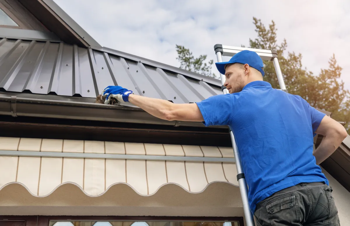 Will Gutters Help Water in Basement?