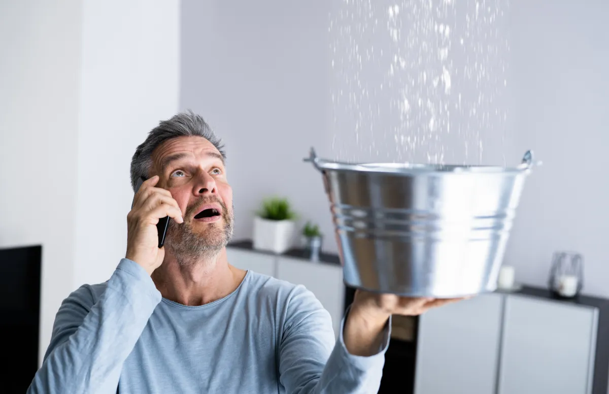 Discover the top 5 reasons why your roof might be leaking, from damaged shingles to improper installation.