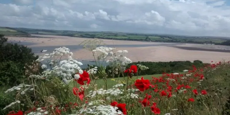 Counselling and hypnotherapy for post traumatic stress disorder (PTSD) and trauma
