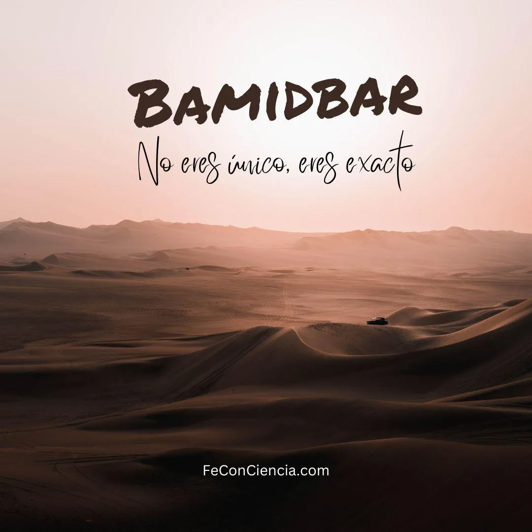 Bamidbar y la sabiduría de ocupar tu lugar