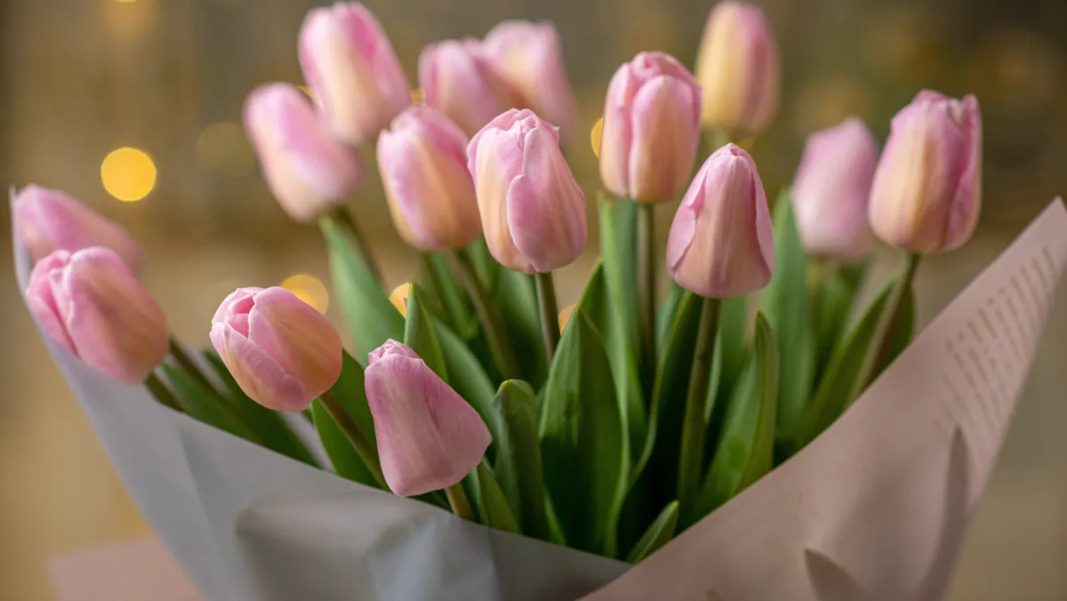 Imelist naistepäeva!