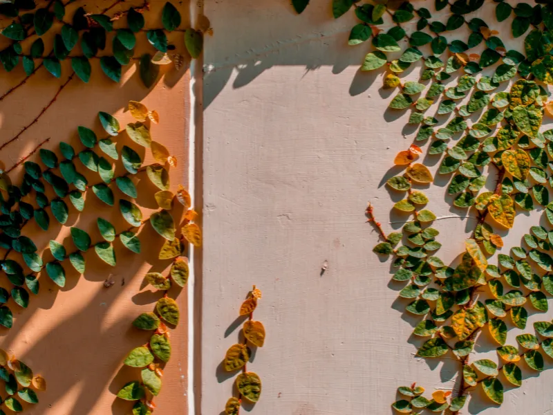 Difficult People Are Part of the Job