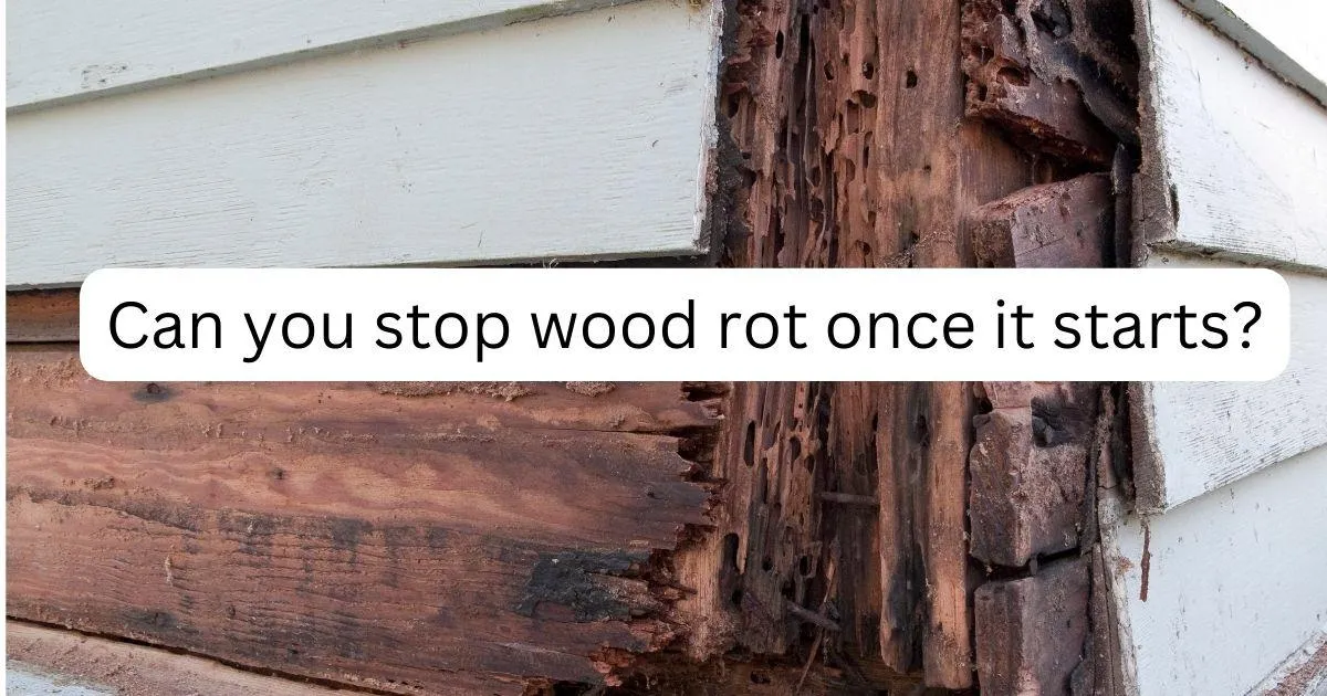 Can You Stop Wood Rot Once It Starts?