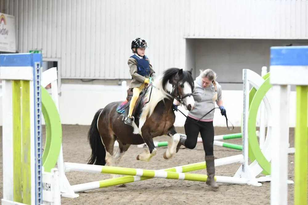 Jumping pony