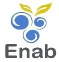 how enab can be helpful for evey business