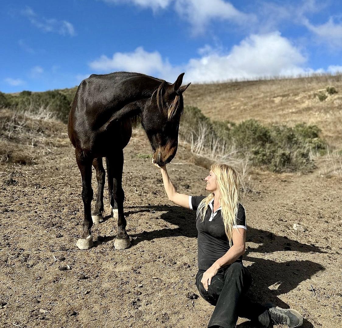 Visiting the mustang rescue 'Return to Freedom' in California