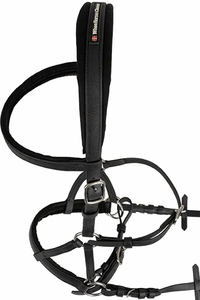 Bitless Bridles Models