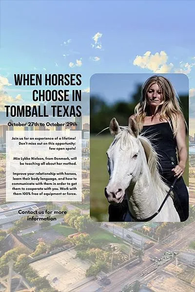 Texas: Pool party with the horses
