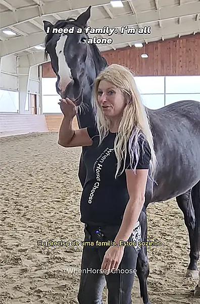 Philadelphia: Riesling - 3 year old sports horse