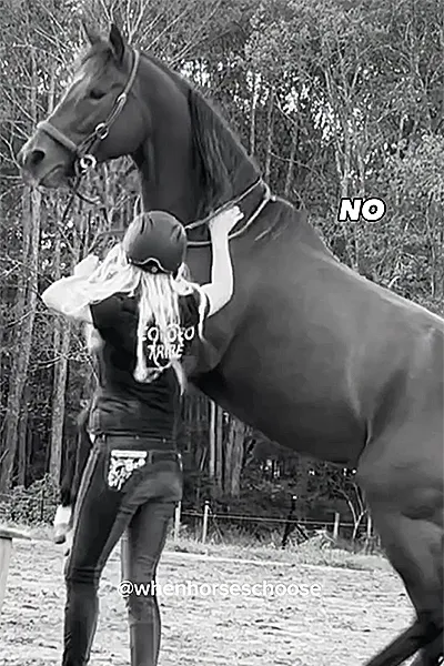 New York: Ex race mare saying NO!