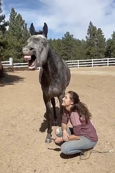 WHC, Clinic, Colorado