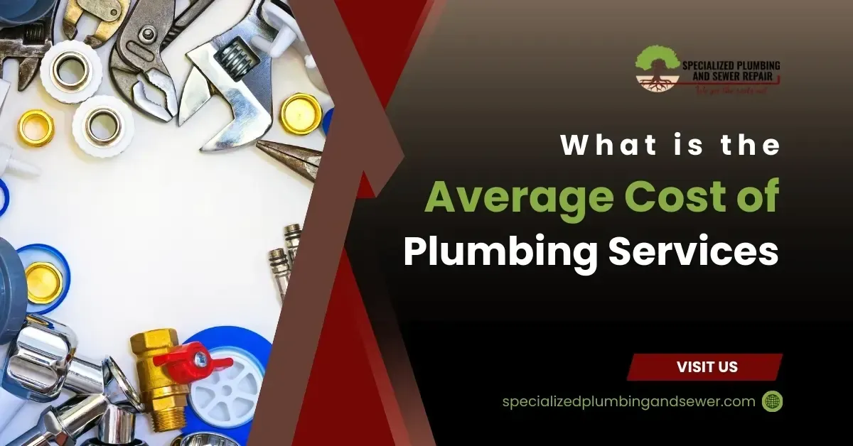 Average Cost of Plumbing Services