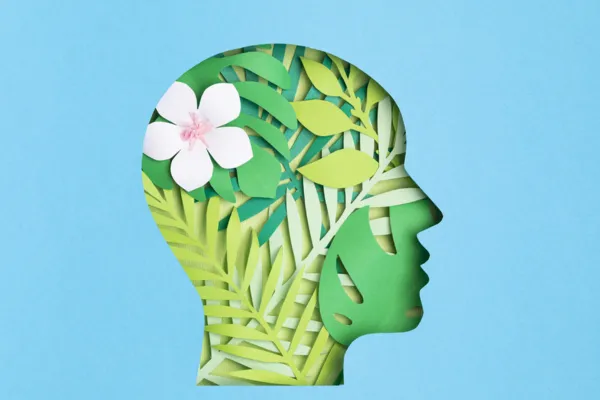 Developing a Growth Mindset: The Path to Continuous Improvement