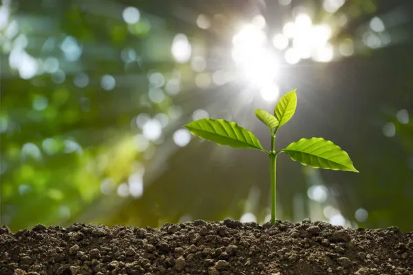 Building an Authentic Future: Steps to Align Your Life with Your True Self