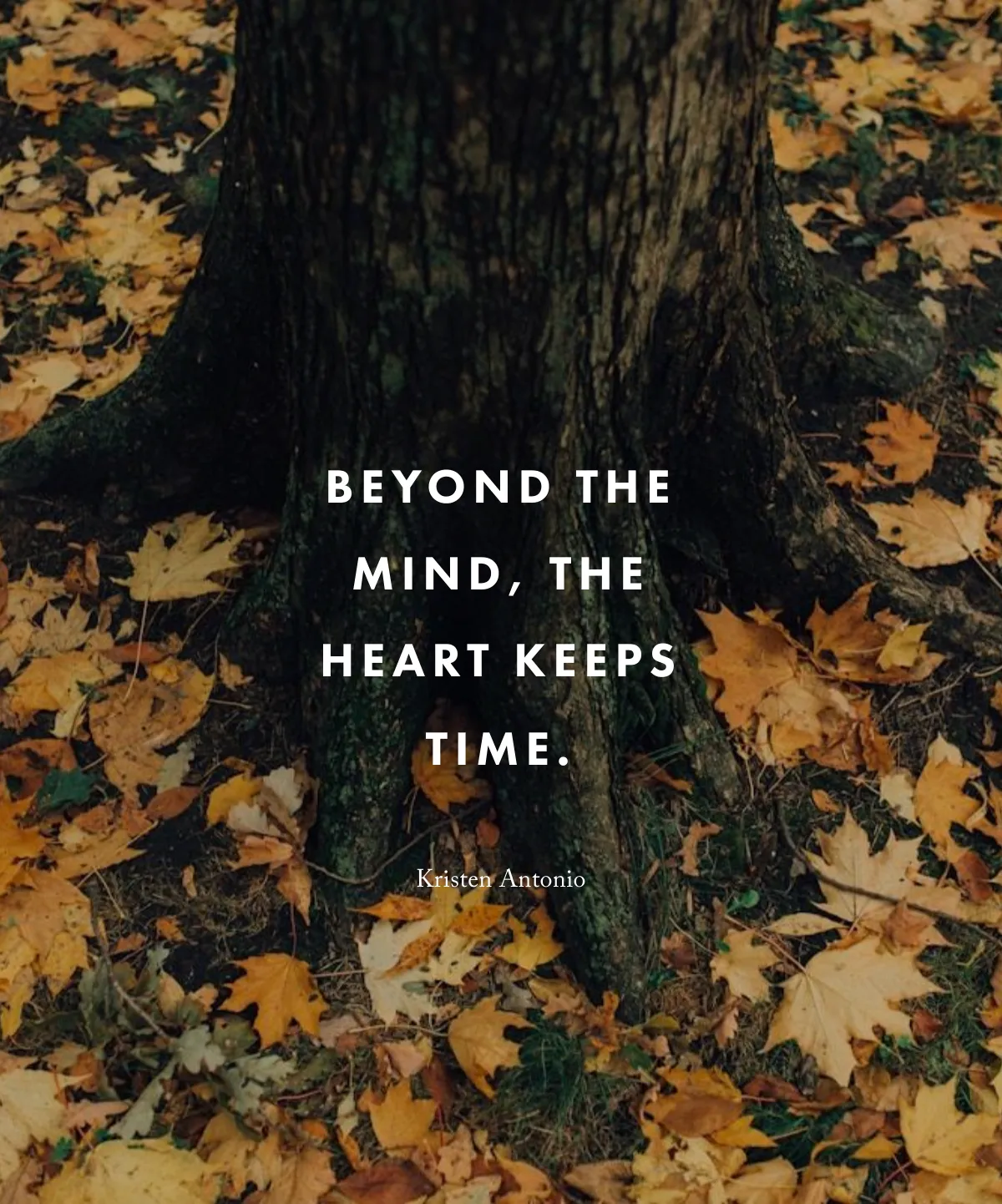 Beyond the Mind