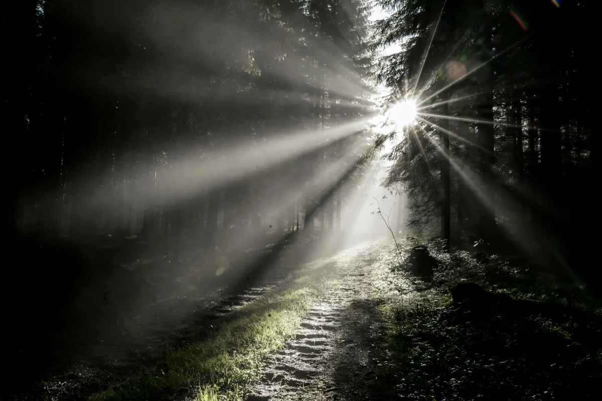 From Regulation to Revelation — The Nervous System Shift | Uhkare Blog