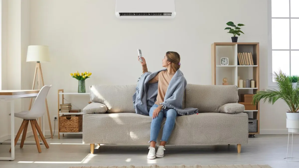 Should You Add an Air Purifier to Your HVAC System?