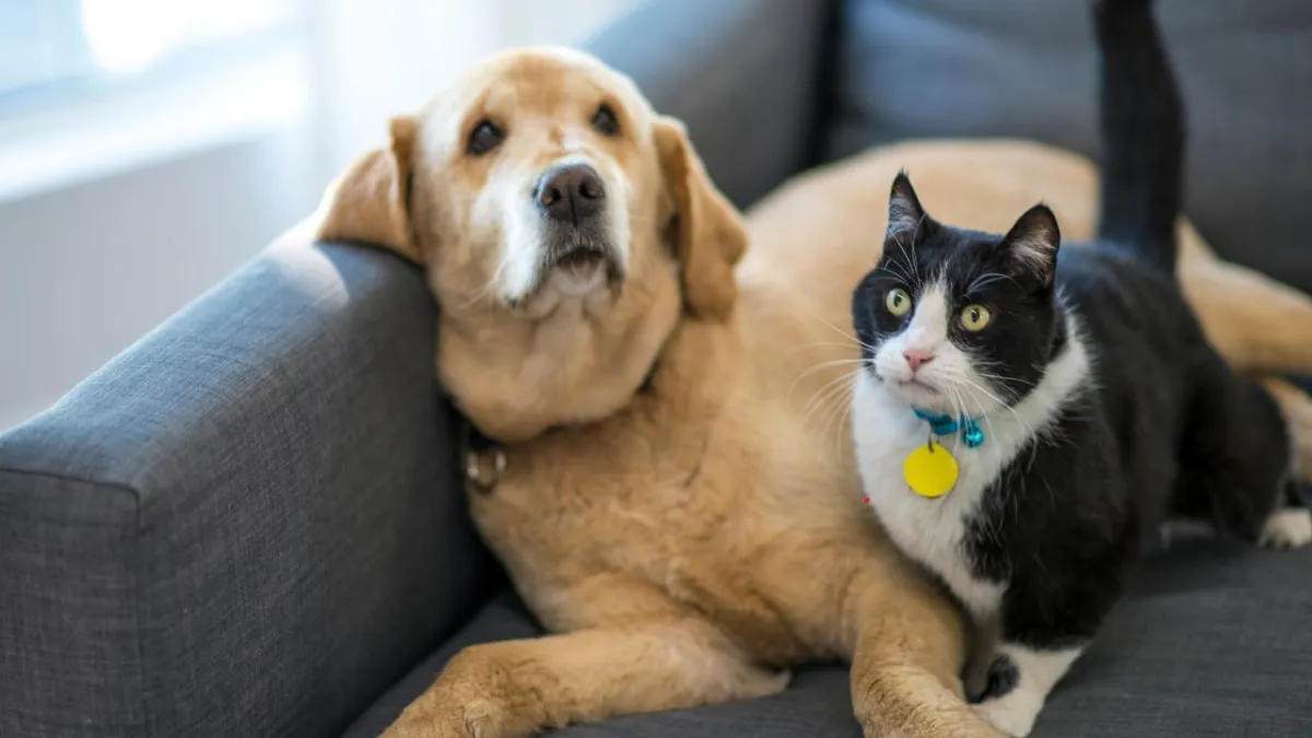 5 Indoor Air Pollutants You Didn’t Know You Were Breathing