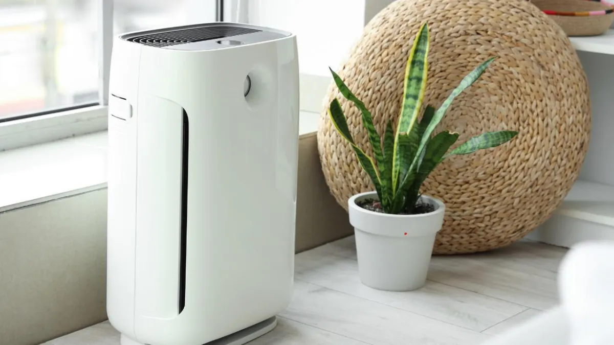 Indoor Air Quality Tips for Families With Children