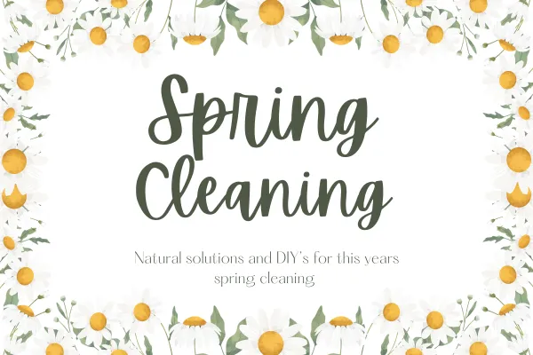 Spring Cleaning