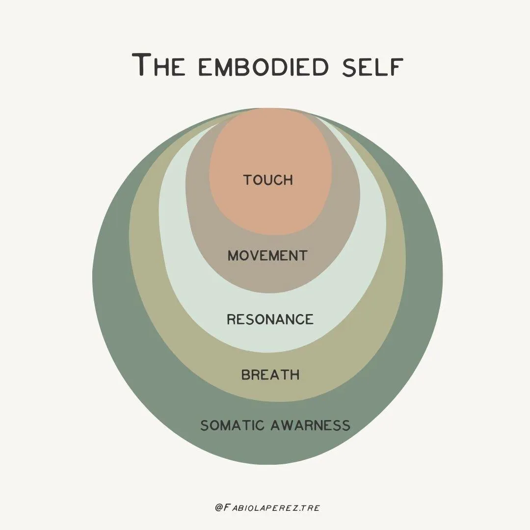 The embodied self circular infographic 