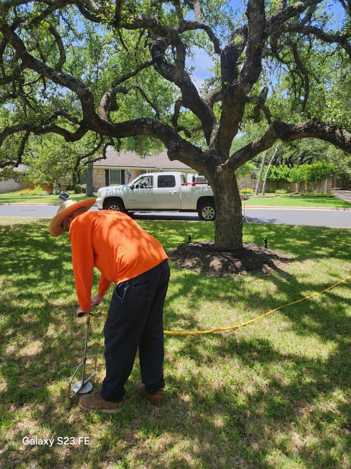 Travis County, Texas Deep Root Fertilization by Box Tree Care